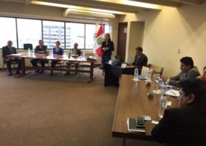 Programa de licitaciones multilaterales