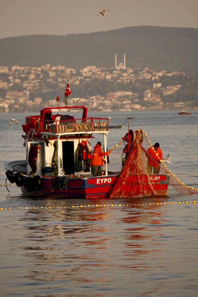 Internacionalización pesca