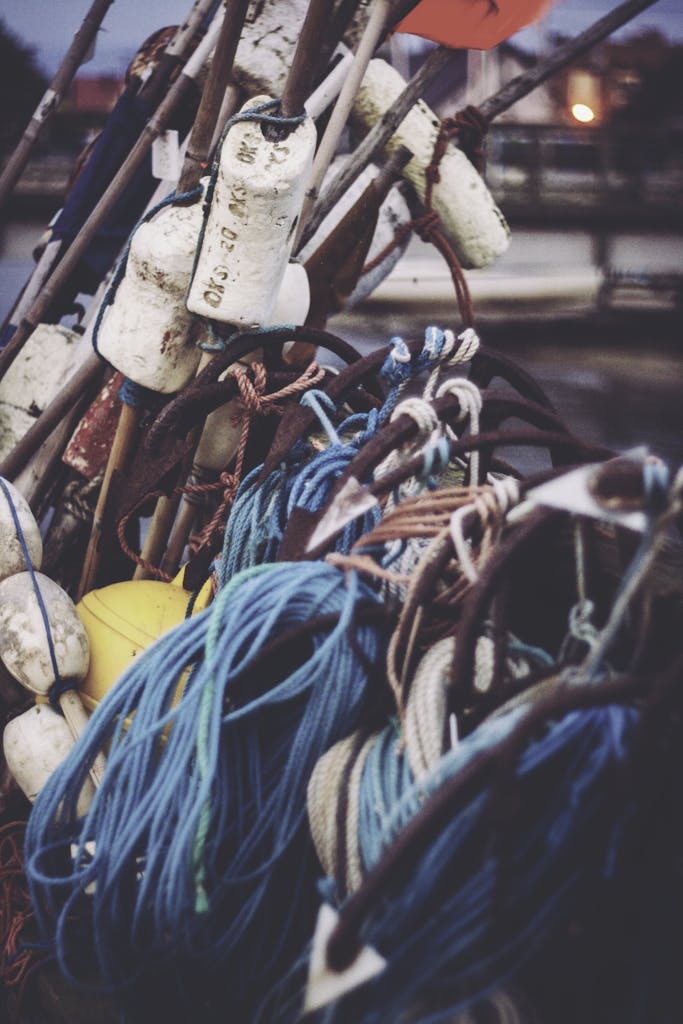 Internacionalización pesca